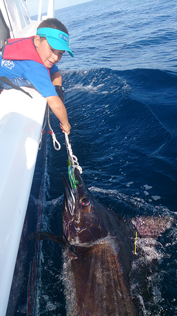 ANGLER: Reece Cokun, his first marlin SPECIES: Black Marlin. WEIGHT: 90kg est. LURE: JB Lures, Lumo Little Dingo
